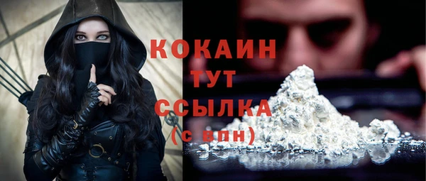 a pvp Дмитровск