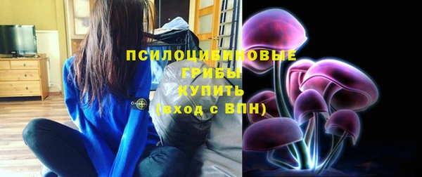 молекула духа Дмитриев