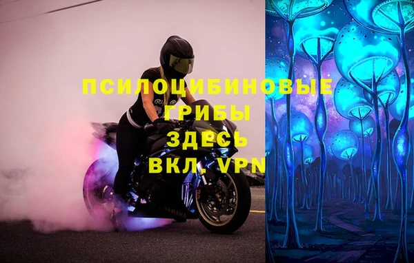 мяу мяу мука Дмитров